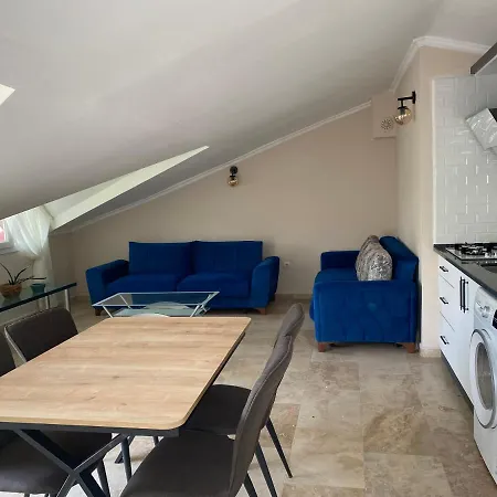 Thefamilyapartmentsinfethiye Apartment