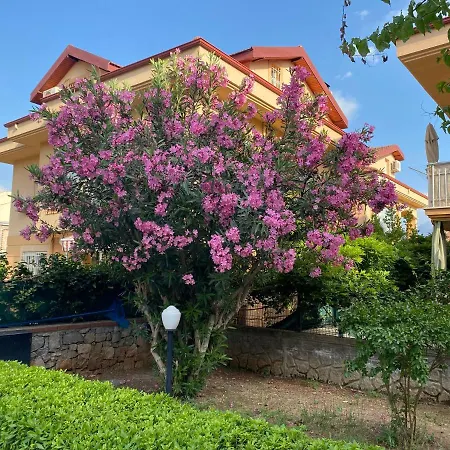 아파트 Thefamilyapartmentsinfethiye *
